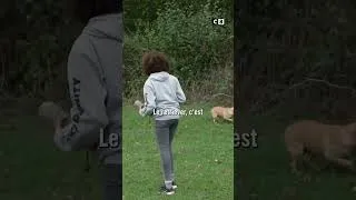 Miniature : Louyan, 17 ans, rêve de devenir monitrice pour chien guide d'aveugle