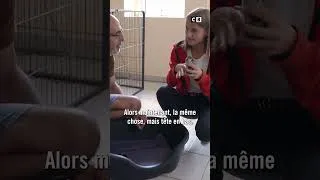 Miniature : Ils chatouillent les animaux pour les stimuler ! #Ados&Animaux