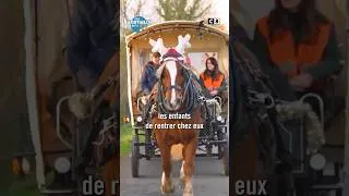 Miniature : Ces enfants vont à l'école...en calèche ! #LesAnimauxdeLa8