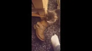 Miniature : TU VOIS JE PUE PAS DES PIEDS LA PREUVE !! AHH
