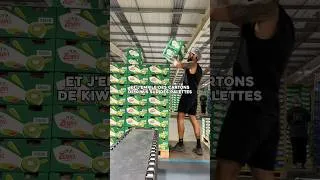 Miniature : Mes 2 jobs en Nouvelle-Zélande 🥝💰 #travail #salaire