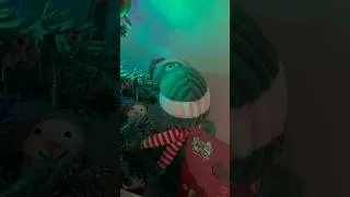 Miniature : Et un très joyeux noël aux toutous 🐶❤️🎄 #dog#chien#americanbully#noël#christmas