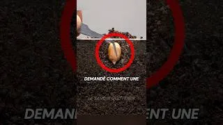 Miniature : Peut-on réutiliser une barre d’armature ?