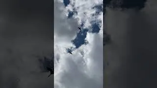 Miniature : Cormorans à réaction survole le lac 🐦