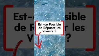 Miniature : Est-ce Possible de Réparer les Vivants ? #livreaudio