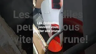 Miniature : Brigade propreté ou Brokodiles ?