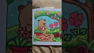 Miniature : Accro au cosy colo !!! #coloriage
