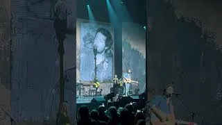 Miniature : « Laisse béton » - @vianneymusique - concert des 50 ans de carrière de @renaud