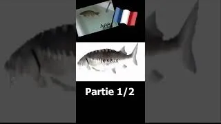 Miniature : Je ne suis qu'un poisson 🔥🔥🔥🐟🐟🐟 (partie 1/2) #français #humour #poisson