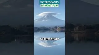 Miniature : Fuji-san : Émerveillement et Sérénité Japonais #découverte #nature #écologie