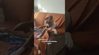 Miniature : Oui mais moi c'est pas pareil 🤣