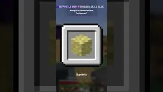 Miniature : Devine le NOM de ce bloc MINECRAFT en moins de 10 SECONDES ! Quiz 31