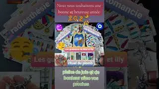 Miniature : meilleurs vœux @lesguidancesdebilaletillyt6491