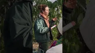 Miniature : L'alimentation dans tous ses états dans l'Hérault (version courte) - Les Insatiables