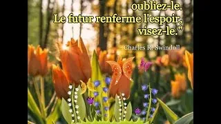 Miniature : [PDJ] Espoir