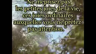 Miniature : [PDJ] Joie