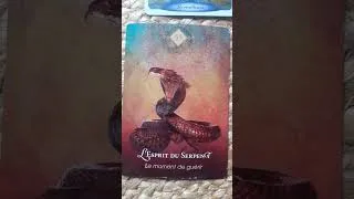 Miniature : Solstice d'été Messages vibrants 🌞