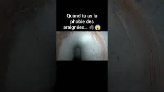 Miniature : Quand tu as la phobie des araignées… 🕷️😱 #bunker #insolite #guerre #araignée #phobia #ww2 #peur