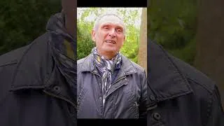Miniature : Les arbres communiquent entre eux ?