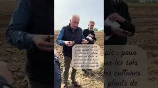 Miniature : Du Champ à L'assiette : Mais d'où viennent nos pommes de terre ?