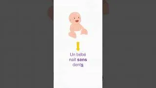 Miniature : Écrit-on « sans » avec un nom au pluriel ou singulier #orthographe #français #coursdefrancais