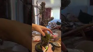 Miniature : Création sur commande d’une grande cloche avec un squelette de serpent !  «#artist #art #artandcraft