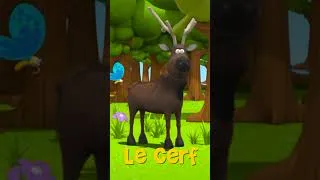Miniature : Short - Apprendre les animaux de la forêt en 2 min - épisode 1 #shorts #enfants #foret #vocabulaire
