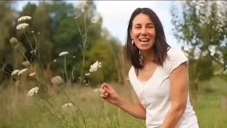Miniature : Reconnaître les Apiacées grâce à leur inflorescence ? 🌿✨️