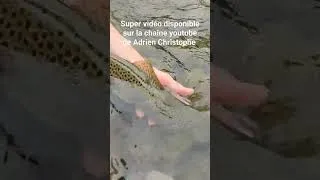 Miniature : Super vidéo disponible sur la chaîne youtube de @AdrienChristophe. https://youtu.be/rAseZ9pIpys