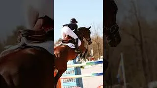 Miniature : Throwback on CSIOJ in Opglabeek running for team France 🇫🇷 #equestrianjourney #sports #horse #zoe