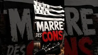 Miniature : 🔥 Y’EN A MARRE DES CONS ! 😂 | Rock Breton & Rock Celtique 🤘🍻 #Shorts #rock #rocknrollos #bretagne
