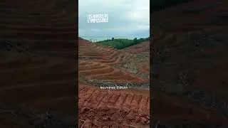 Miniature : L'Indonésie et la malédiction des ressources naturelles #documentaire  #indonesia