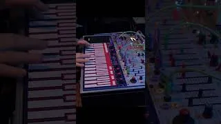 Miniature : Buchla Easel mini performance