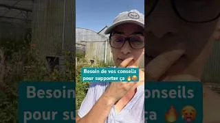 Miniature : Venez on liste vos idées pour vivre cette canicule le plus confortablement possible 📋☀️ ?