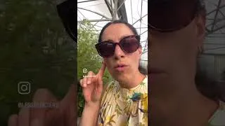 Miniature : La folle du potager 😛🤘🏼🥒
