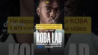 Miniature : La vie de Koba !