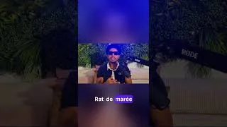 Miniature : Mafia K'1 Fry   De la rue à la légende du rap français
