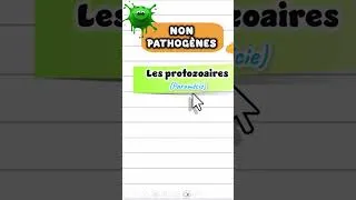 Miniature : Les microbes : résumé facile | ملخص مبسط #science #biology #SVTmaroc #svt #3AC