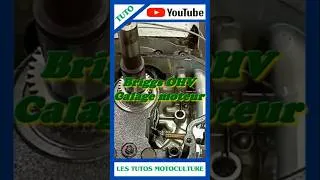 Miniature : Briggs calage arbre moteur