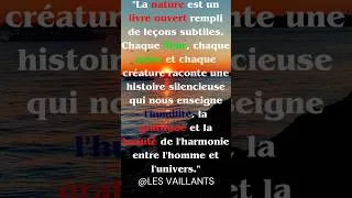 Miniature : À méditer chaque matin 💪🏼 #citation #motivation #shorts