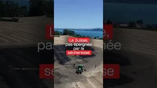 Miniature : Champs en feu, interdiction d’arroser les jardins: la Suisse vit aussi une sécheresse exceptionnelle