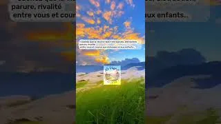 Miniature : Cette vie n’est qu’une illusion…#levoyagedelavie#shortsviral#grandirenconscience#islam