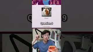 Miniature : Akinator préfère mon cochon d'inde à Inoxtag