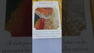 Miniature : message du jour 🕊 #voyance #spiritualité #guidance #énergie #predictions #intuition #amour