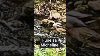 Miniature : Fuire sa Micheline - Parodie Marc BluerSky