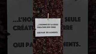 Miniature : « L'homme est la seule créature qui paie ses aliments ! 🌿 #Shorts »