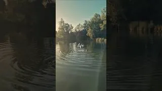 Miniature : la vie sur l'eau