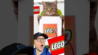 Miniature : MON CHAT RÉINVENTE LES LOGOS 😻✏️ spécial LEGO 🟥