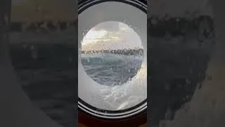 Miniature : A Healing Moment at Sea 🌊 Through the Porthole