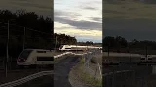 Miniature : TGV inoui en provenance de Toulouse #train #trainspotting